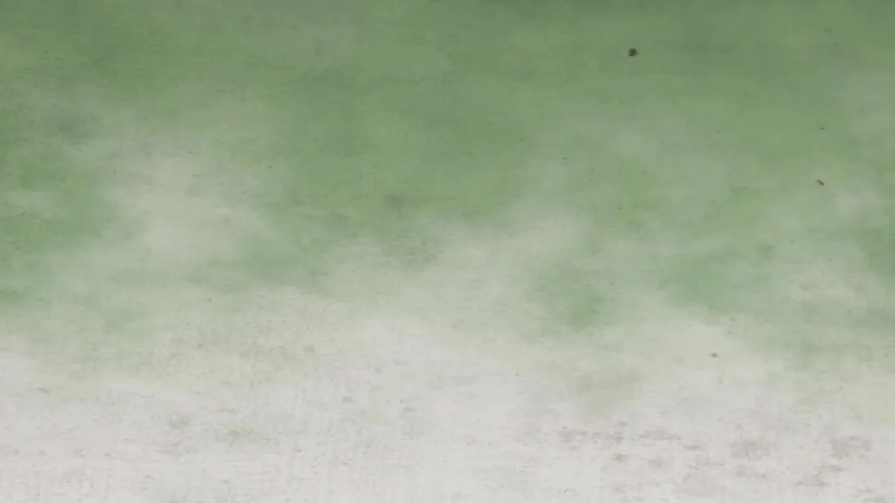 Скриншот 4 из Ями Шибаи: Японские рассказы о привидениях 14